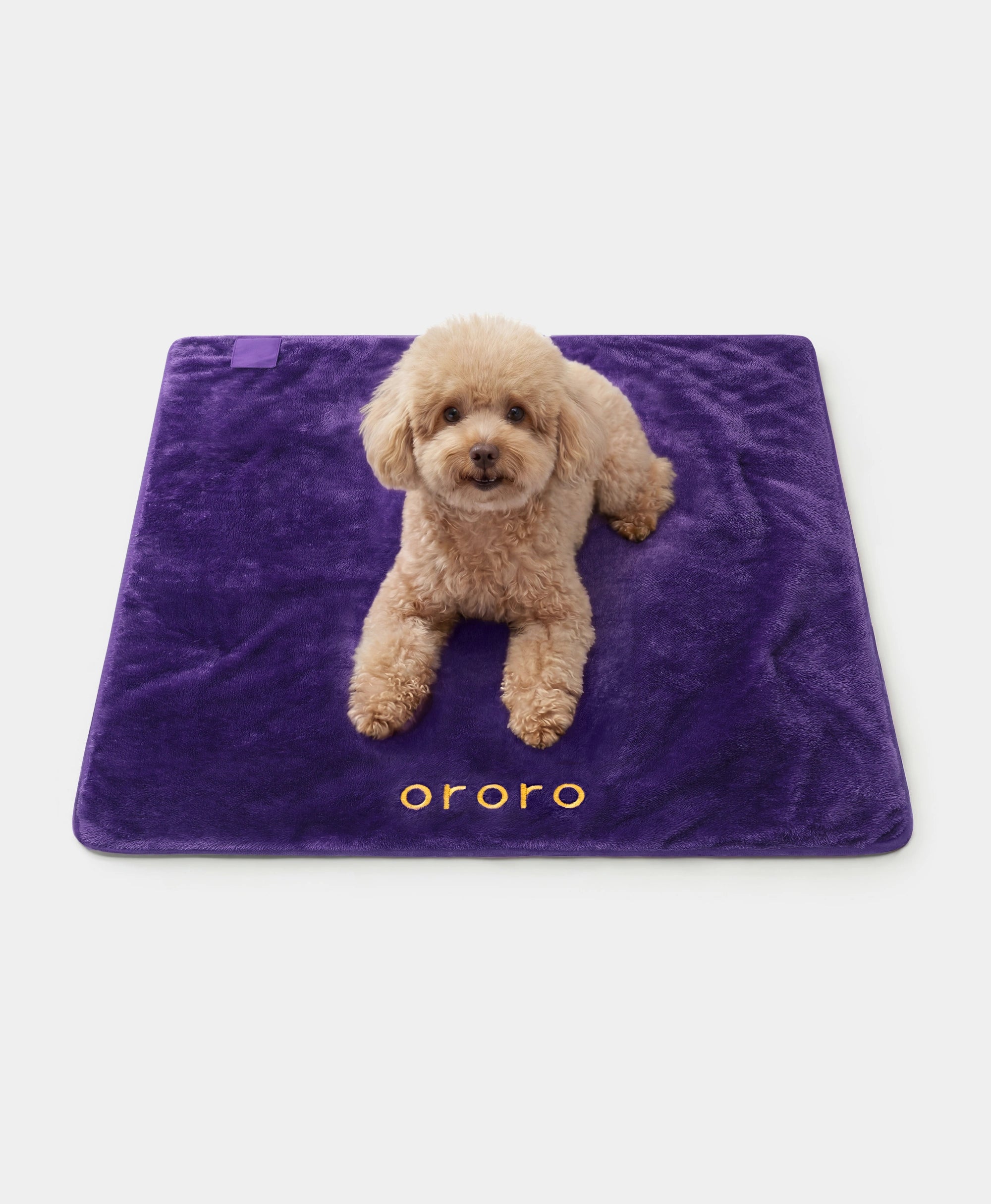 Tapis chauffant Kozzzy pour animaux – 2 zones, Thumbnail 2