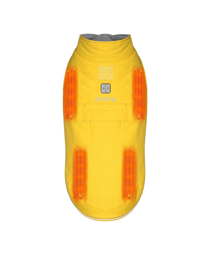 Gilet chauffant pour chien Koldpwoof